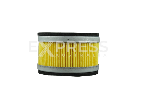 Westair IFFILTER3/4ELE Compressor Air Filter Equivalent