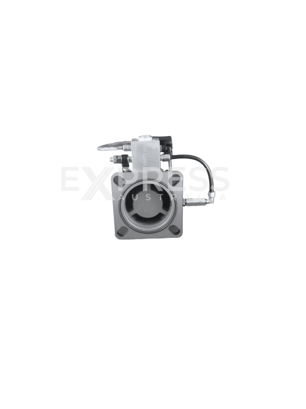 Express 111010-050BL Compressor Intake Valve