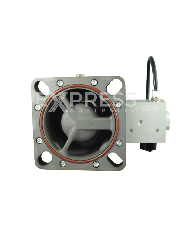 Express EXPPM-30IV Compressor Intake Valve Assembly