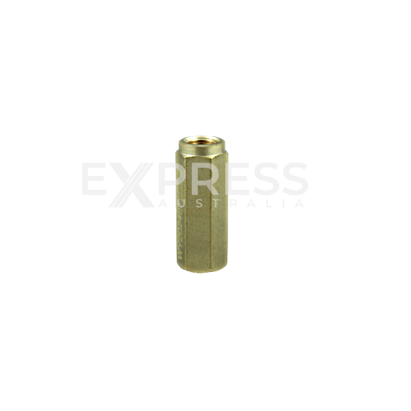 Express EXPPM-1530NV Compressor Oil Non-Return Valve