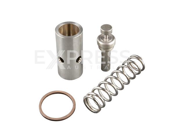 Boge 2420425667P Compressor Thermo Valve Repair Kit Equivalent